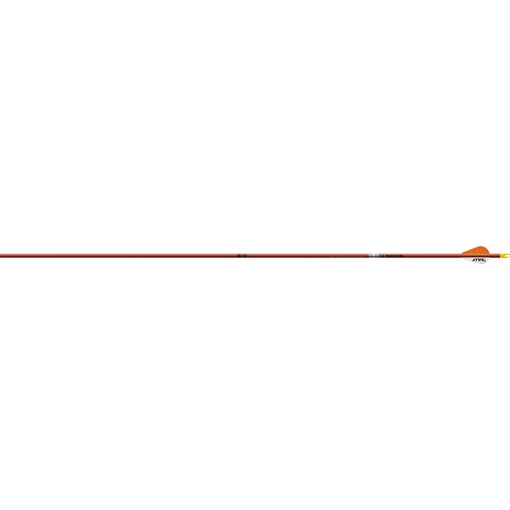 Picture of EASTON ARROW FMJ 5MM 300 W/ 2" BULLY VANES 6-PACK AUTUMN ORG 330473