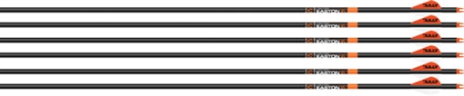 Picture of Easton Easton 6.5 Bowhunter Arrows 500 2 in. Bully Vane 6 pk. 029027