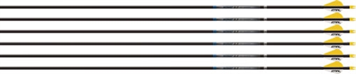 Picture of Easton Easton Sonic 6.0 Arrows Factory Helical 300 6 pk. 430627