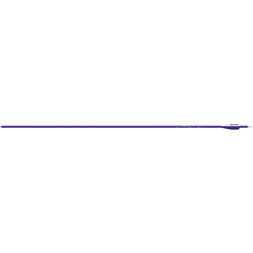 Picture of Easton Easton Genesis Arrows 3 in. Vane Purple 36 pk. 826402