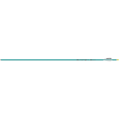 Picture of Easton Easton Genesis Arrows 3 in. Vane Teal 36 pk. 529157