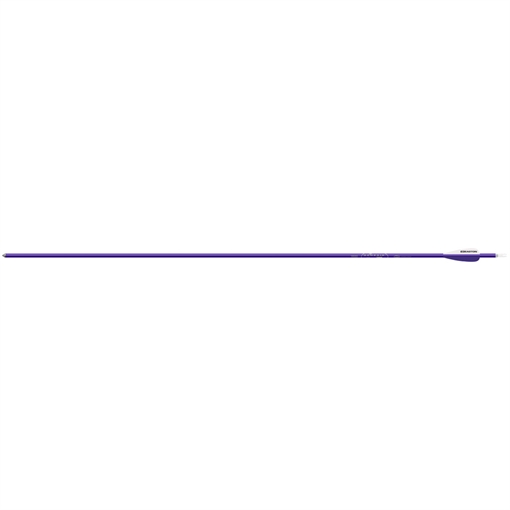 Picture of Easton Easton Genesis Arrows Purple 1820 3 in. Vanes 6 pk. 226400