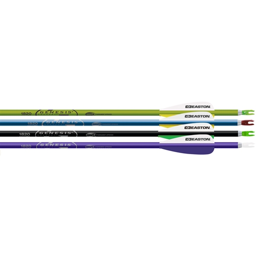Picture of Easton Easton Genesis Arrows Purple/Black/Teal/Green 1820 3 in. Vanes 72 pk. 925548