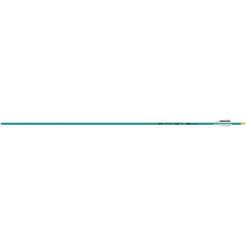 Picture of Easton Easton Genesis Arrows Teal 1820 6 pk. 129159