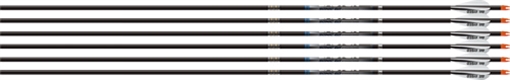 Picture of EASTON SONIC 6.0 MATCH 300 W/3" AAE HYBRID VANES 6-PACK 601370