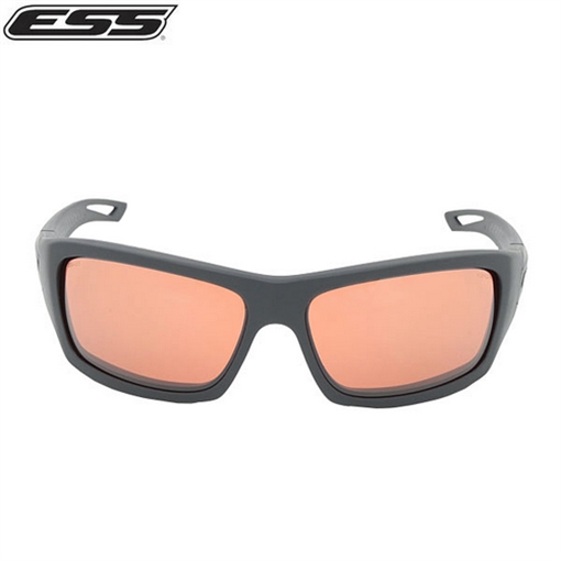Picture of ESS Credence EE9015-02