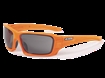 Picture of ESS Rollbar Tactical Sunglasses EE9018-17