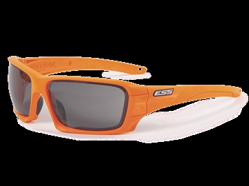 Picture of ESS Rollbar Tactical Sunglasses EE9018-17