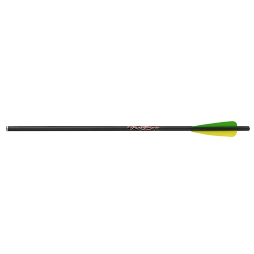 Picture of Excalibur Excalibur Carbon FireBolts 20 in. 6 pk. 22CAV-6