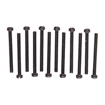 Picture of FILLISTER HEAD SCREW KIT 080050264 -