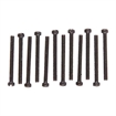 Picture of Brownells 3-48X1'' FILLISTER HEAD SCREWS 12 PACK    FILMS348-1BO