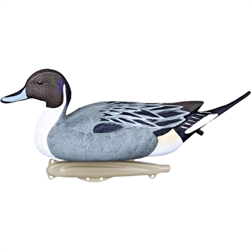 Picture of Flambeau Flambeau Classic Pintail Decoy 6 pk. 8022SUV