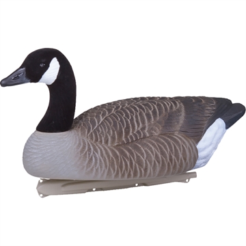 Picture of Flambeau Flambeau Water Pack Canada Goose Decoy 4 pk. 8091SHU