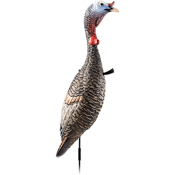 Picture of Flextone Funky Chicken Gen 2 Turkey Decoy FLX-FLXDY330