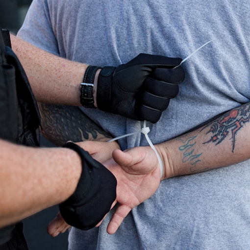 Picture of Forensics Source Flex-Cuffs Restraints 1006184