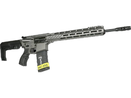 Picture of FOSTECH FLITE ELITE PHANTOM RIA 5.56 16IN BBL TUNGSTEN MACH-2 13IN RAIL ECHO SPORT TRIGGER 6807T556A4