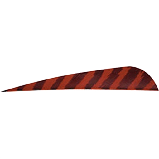 Picture of Gateway Gateway Barred Feathers Red 4 in. RW 50 pk. 400RPBRD-50