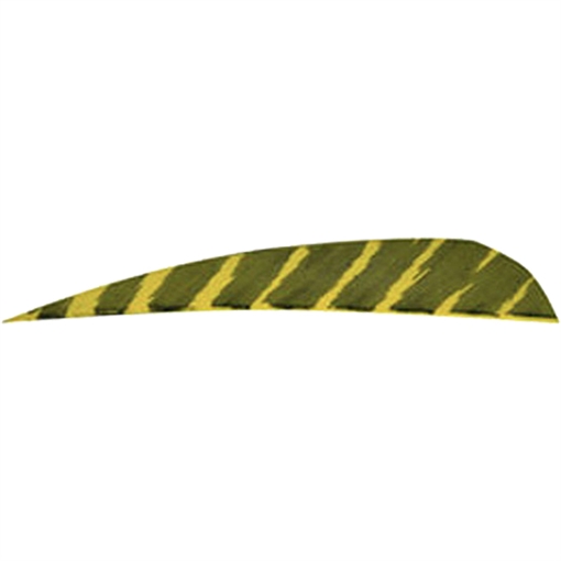 Picture of Gateway Gateway Barred Feathers Yellow 4 in. RW 50 pk. 400RPBYL-50
