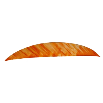 Picture of Gateway Gateway Magnum Feathers Tre White/Orange 5.5 in. RW 50 pk. 512RMTWO-50