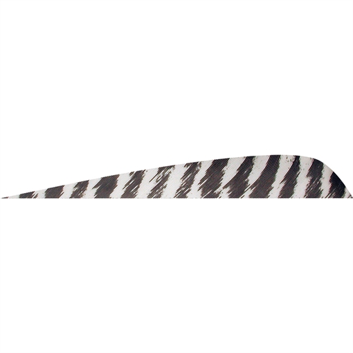 Picture of Gateway Gateway Parabolic Feathers Barred White 4 in. LW 50 pk. 400LPBWH-50