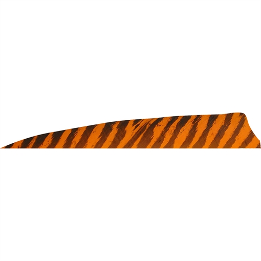 Picture of Gateway Gateway Shield Cut Feathers Barred Orange 4 in. LW 50 pk. 400LSBOR-50