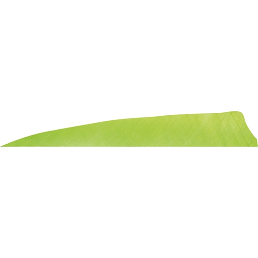 Picture of Gateway Gateway Shield Cut Feathers Charteuse 4 in. LW 50 pk. 400LSSCH-50
