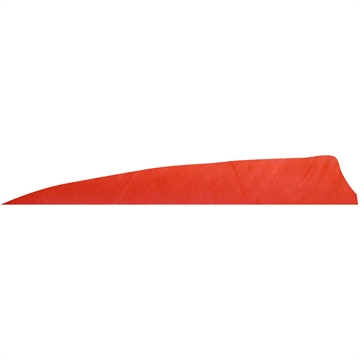 Picture of Gateway Gateway Shield Cut Feathers Red 4 in. RW 100 Pk. 400RSSRR-100