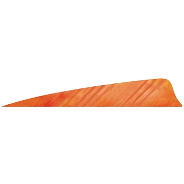 Picture of Gateway Gateway Shield Cut Feathers Tre White/Orange 4 in. RW 50 pk. 400RSTWO-50