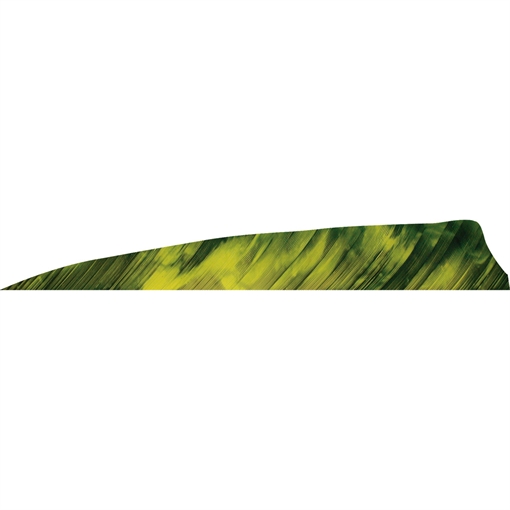 Picture of Gateway Gateway Shield Cut Feathers Tre Yellow 4 in. RW 50 pk. 400RSTYL-50