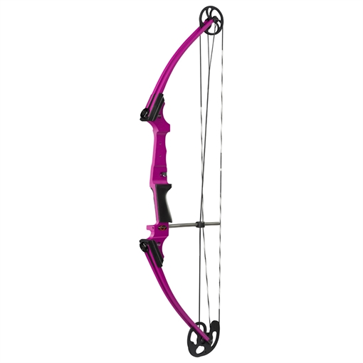 Picture of Genesis Genesis Bow Purple LH 10477 859752000161
