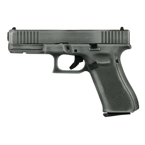 Picture of Glock 17 Gen 5 Custom "Distressed Crushed Silver Slide" Handgun 9mm Luger 17/rd Magazines (3) 4.49" Barrel PA175S203 MODCSD
