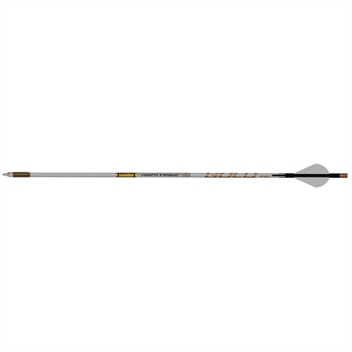 Picture of Gold Tip Gold Tip AirStrike Arrows 250 Raptor Vanes 6 pk. AS250A26