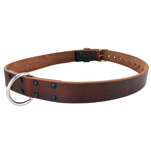 Picture of Gould & Goodrich Restraining Belt 189