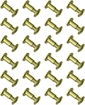 Picture of GROVTEC BRASS CHICAGO SCREWS 24-PACK GTHM61