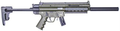 Picture of GSG GSG-16 Carbine Full Size 22 LR 10+1 16.25" Black 6-Groove Rifling Barrel Green Polymer Receiver Black Collapsible w/Storage Compartment Stock Right Hand GSGGERGGSG1610G