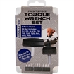 Picture of Gunmaster Torque Wrench Set TW20-80