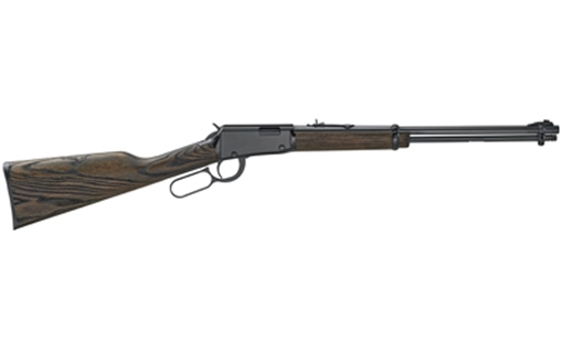 Picture of Henry Garden Gun Smoothbore Full Size 22 LR/Shotshell 15+1 18.50" Smooth Bore Barrel, Black Metal Finish, Black Ash Stock Right Hand H001GG