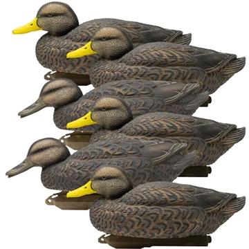 Picture of Higdon Legacy Magnum Black Duck Decoys Foam Filled 6/ct 17103
