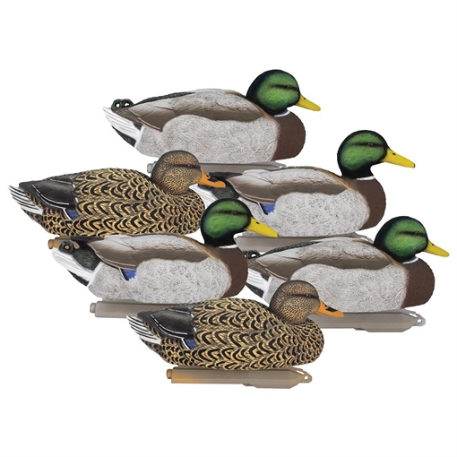 Picture of Higdon Legacy Magnum Mallard 6/ct 17001 710617170019