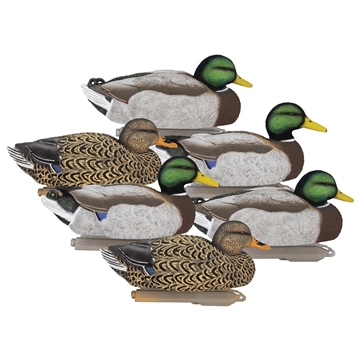 Picture of Higdon Legacy Magnum Mallard 6/ct 17001 710617170019