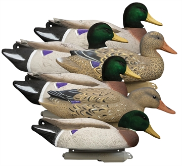 Picture of Higdon Outdoors Battleship Oversized Mallards Species Multi Color Foam Filled Features Flocked Heads 6 Pack 16034