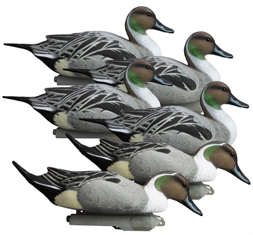 Picture of Higdon Outdoors Battleship Pintail Pintail Species Multi Color Foam Filled 6 Pack 16544