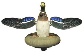 Picture of Higdon Outdoors XS Splashing Flasher Mallard Drake Species Multi Color Features Built-In Timer 53077