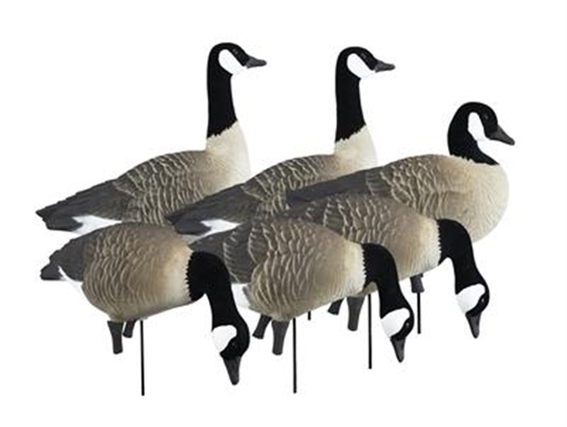 Picture of Higdon Outdoors APEX Full-Size Full-Body Variety Pack - Canada Goose 72237
