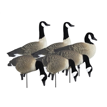 Picture of Higdon Outdoors APEX Full-Size Full-Body Variety Pack - Canada Goose 72237