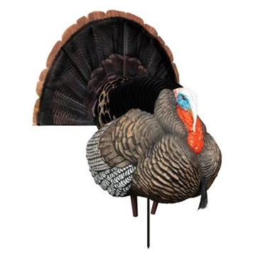Picture of Higdon Outdoors Apex Strutter Hard Body Turkey 63148