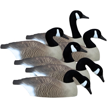 Picture of Higdon Outdoors Full Size Half Shell Canada 6pk 77969