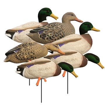 Picture of Higdon Outdoors Magnum Full Body Mallard Variety Pack Flocked Heads 6pk 12006