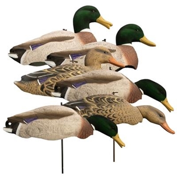 Picture of Higdon Outdoors Magnum Full Form Shell Mallard Variety Packk - Flocked Heads 7106172 12034