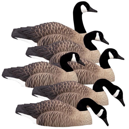 Picture of Higdon Outdoors Magnum Half Shell Canada 6pk 75961